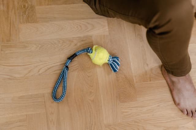 Rope Tug Toy with Ball