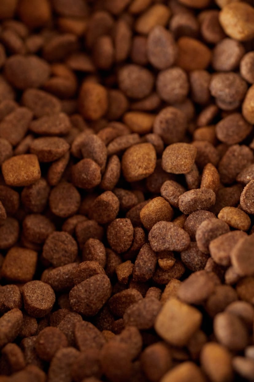 Chicken & Rice Adult Dog Food - Image 2
