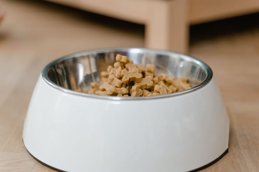 Chicken & Rice Adult Dog Food - Image 1