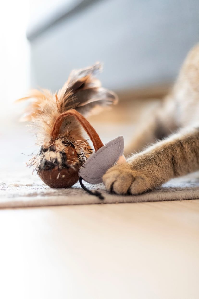 Feather Mouse Toy - Image 1