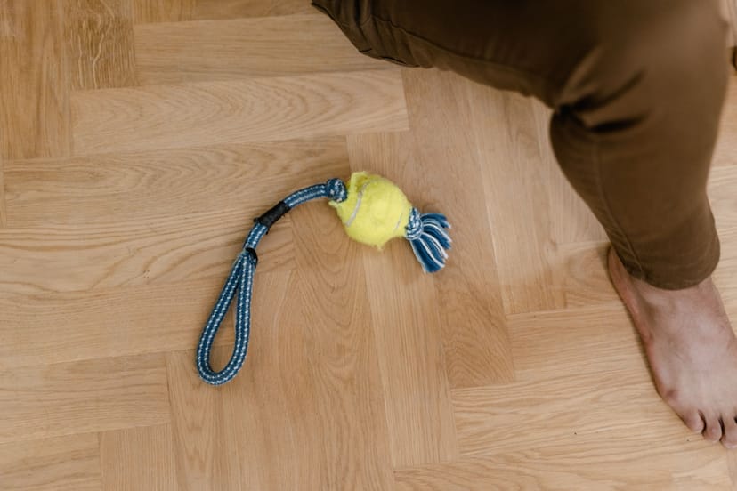 Rope Tug Toy with Ball - Image 1